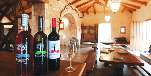 Lefkas Earth Winery - Things To Do | Simpson Travel