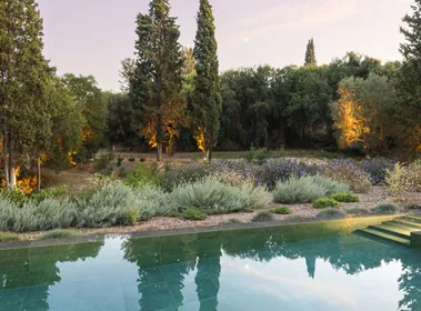 Forest House Forest House