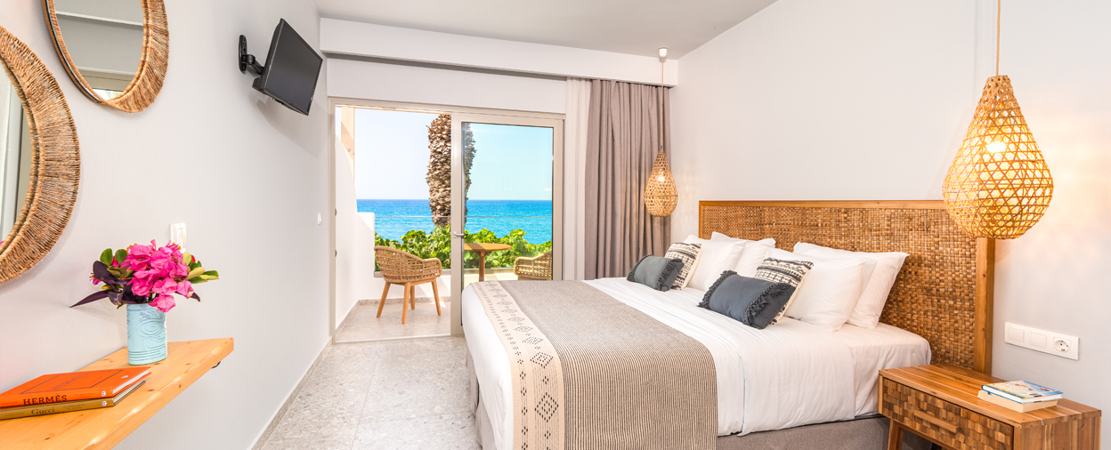 Palm Tree Collection - Butia